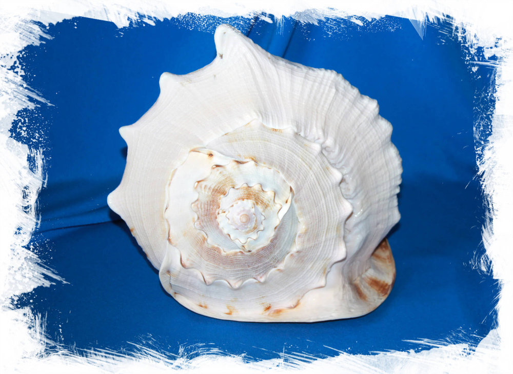 Желтый рогатый шлем