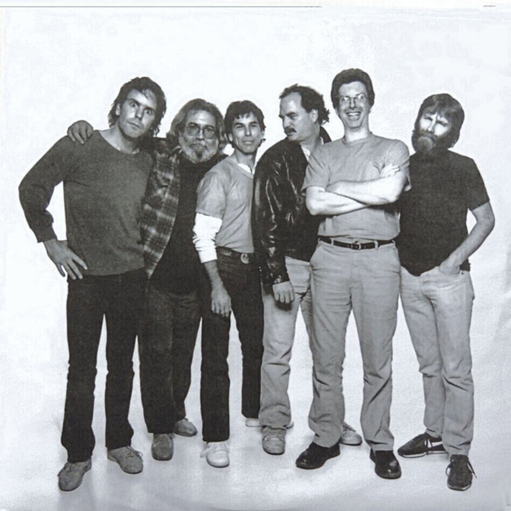 Grateful Dead / In The Dark (Limited Edition)(Coloured Vinyl)(LP)