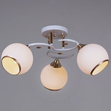 06117-0.3-03 WH+FG светильник потолочный