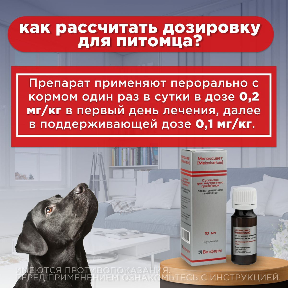 БЕЛКАРОЛИН Мелоксивет 0,2%, противовоспалительный раствор для инъекций, для кошек и собак, 10 мл, 5 шт.