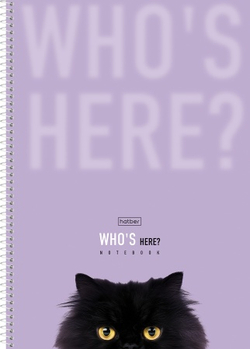 3b752jw84qwar8i3qi0k4hojheg0s9dp