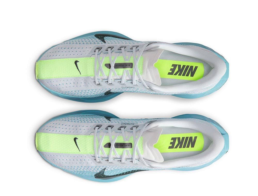 Кроссовки для бега мужские Nike Pegasus Plus M Бело-Blue