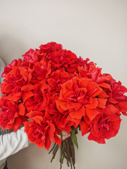 Ажурное кружево