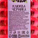 Банный шампунь «Клюква-черника» - 250 мл. (Цвет: не задано)