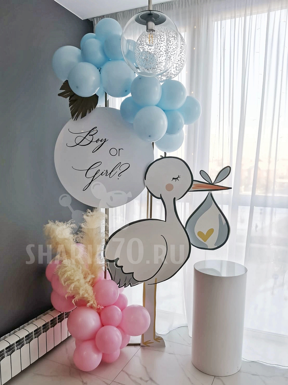 Фотозона ГЕНДЕР ПАТИ 0003