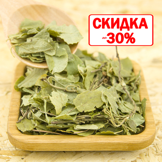Боровая матка (лист)