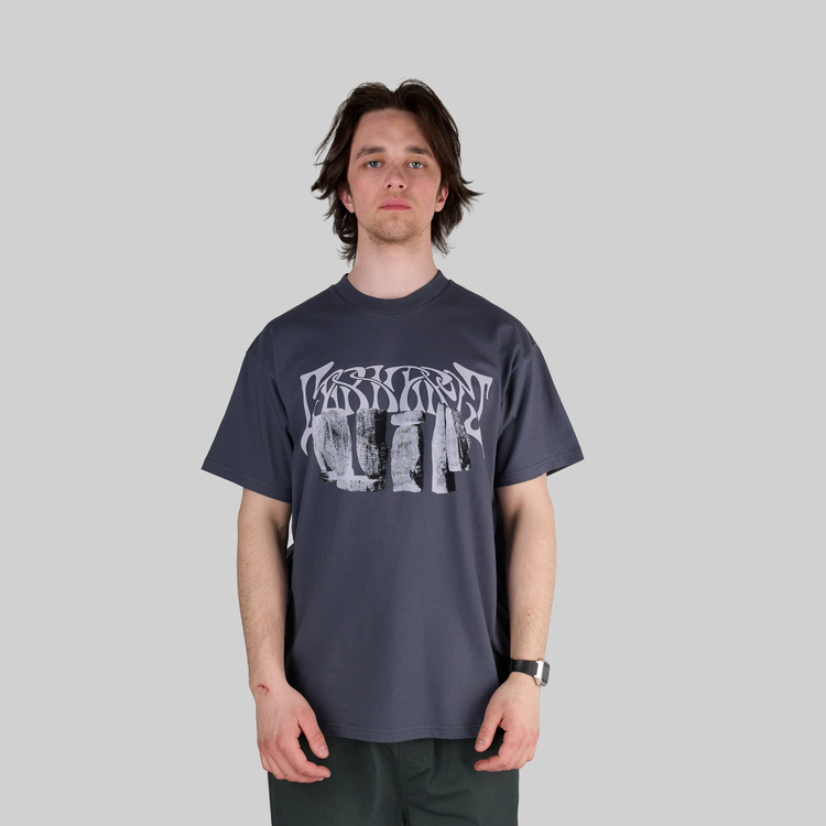 Футболка мужская Carhartt WIP Pagan артикул:I032877_zeus_grey - купить в магазине Дайс