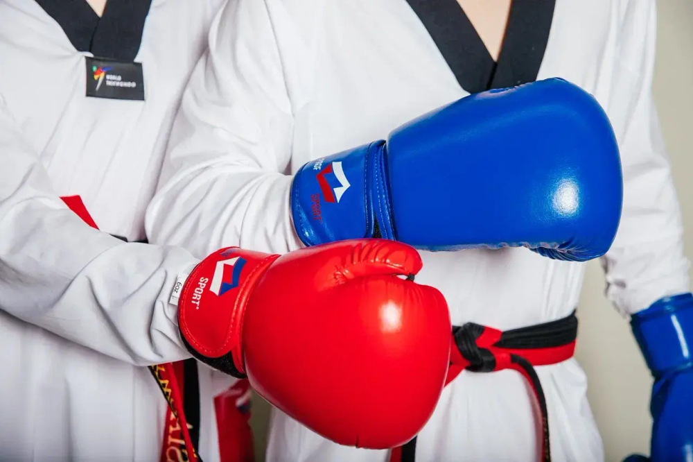 Перчатки боксерские ProfSport