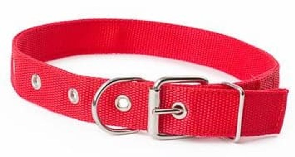 Ошейник (Лаурон) капрон 25мм 38-45см красный 2 слоя. Метал.пряжка Ошейник (Лаурон) капрон 25мм 38-45см красный 2 слоя. Метал.пряжка