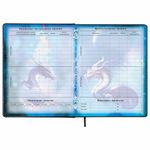 Дневник 1-11 класс 48 л., кожзам (твердая с поролоном), печать, цветной блок, BRAUBERG, "Ниндзя", 106950