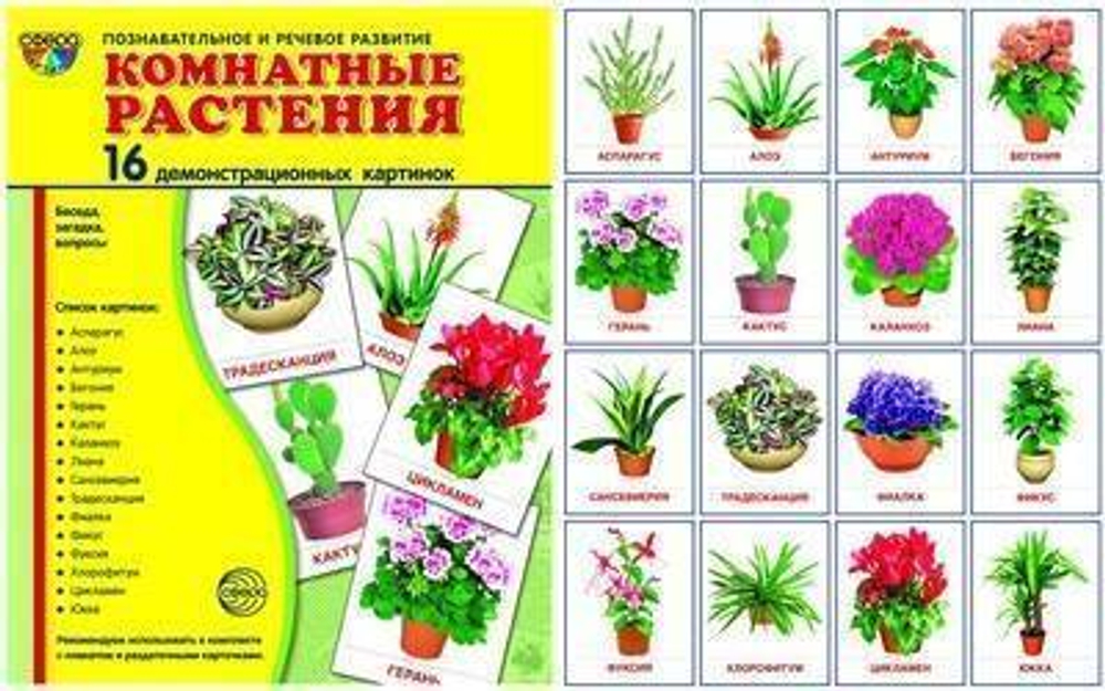 Т.В.Цветкова. СУПЕР. Комнатные растения. 16 демонстрационных картинок с текстом на обороте. 0+
