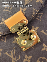 Louis Vuitton Tilsitt