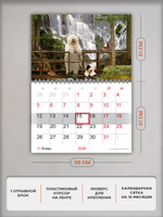 Настенный отрывной календарь "Собаки у водопада"
