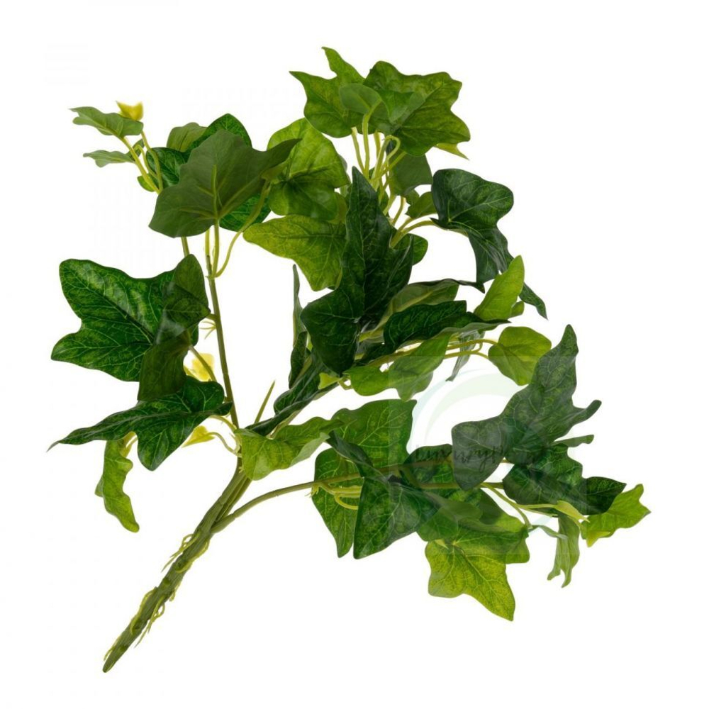 Ветка плюща [Арт. 80070]