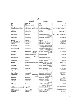 Sieben-Sprachen-Wörterbuch. Deutsch, Polnisch, Russisch, Weissruthenisch, Litauisch, Lettisch, Jiddisch | Prussia Kriegsministerium