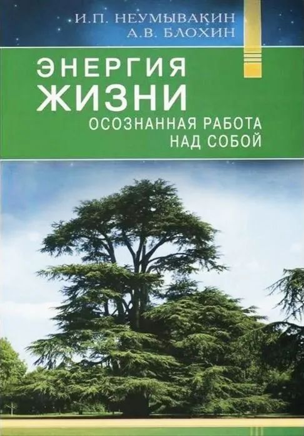 Энергия жизни. Осознанная работа над собой. Неумывакин И, Блохин А.