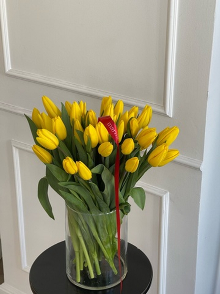 ОПТ тюльпан - классика ЖЕЛТЫЙ