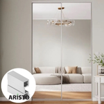 Дверь-купе ARISTO TWELVE, зеркало, профиль хром матовый