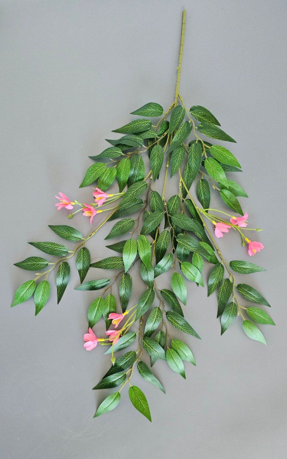 Рускус цветущий / Арт 1223