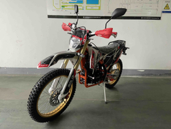 Мотоцикл кроссовый эндуро ROLIZ Sport-007