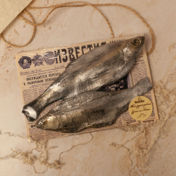 Вобла на газете