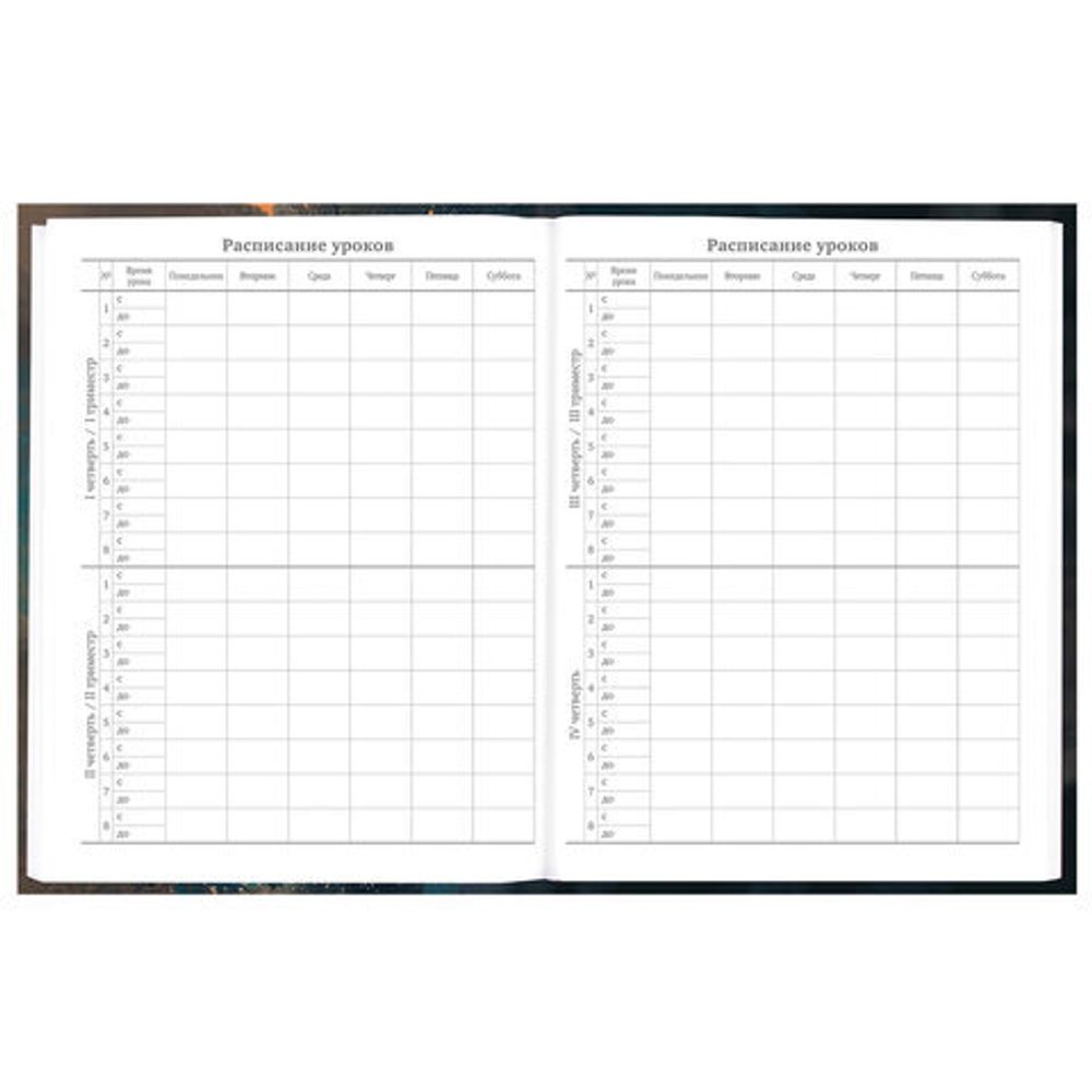 Дневник 5-11 класс 48 л., гибкая обложка, BRAUBERG, глянцевая ламинация, с подсказом, "Cat", 107181