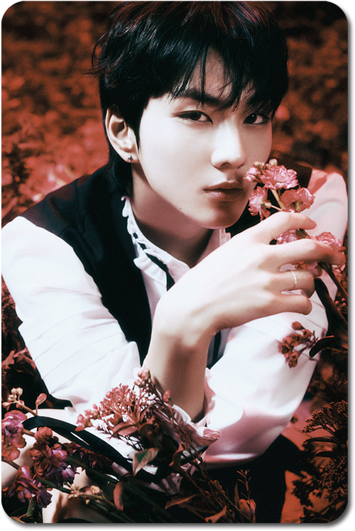 Карта / ENHYPEN #038