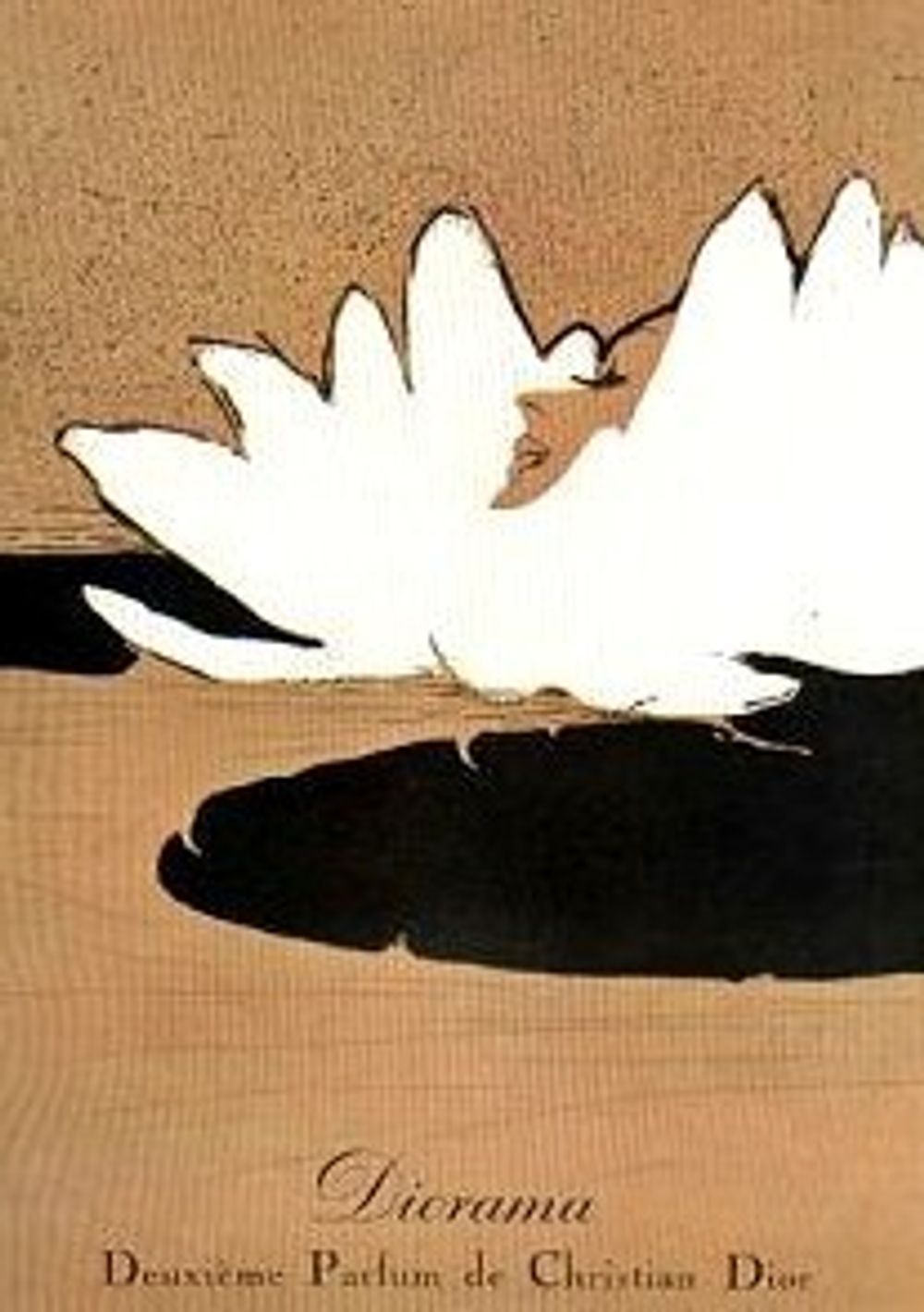 Christian Dior Diorama