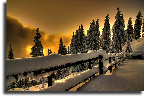 Постер "Зимняя красота"