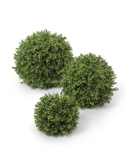 Самшитовый шар (Декор)