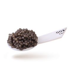 250 гр. Жесть. Икра Стерляди Элитная I Фото 3 I Икорный Дом Горкунов