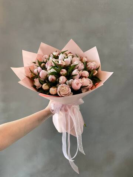 35 нежно розовых пионов