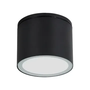 Фасадный светильник 1*GX53 A1913PF-1BK черный Piautos Arte Lamp