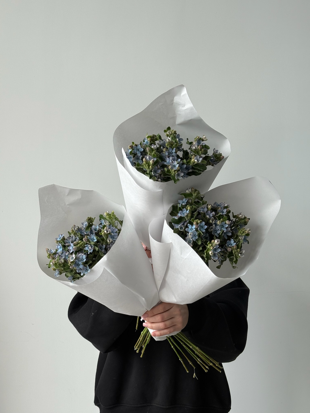 Охапка оксиеталума в голубом оттенке 10 шт