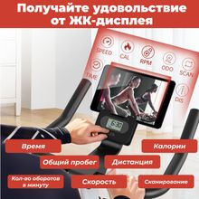 Спин-байк DFC PASYOU / магнитный, до 135 кг