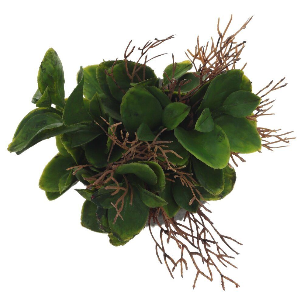 GAEM Цветочная композиция, L11 W11 H16 см, 2в.