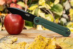 Нож Firebird by Ganzo FH922PT-GB D2 Steel Green