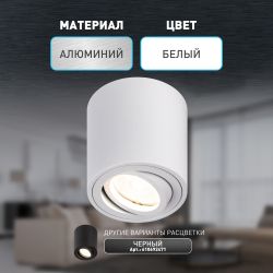 Светильник настенно-потолочный спот ЭРА OL21 WH MR16/GU10, белый, поворотный