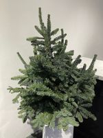 Елка декоративная h-100см