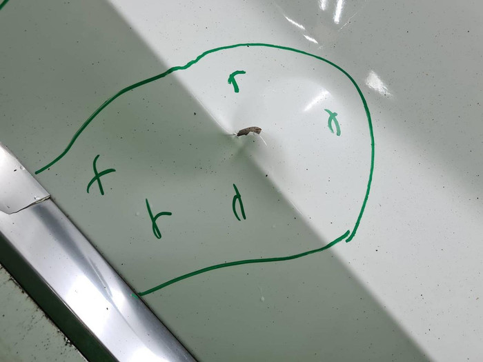 Дверь передняя правая Hyundai Palisade 1 (2018-н.в.)