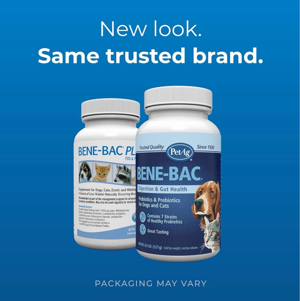 Bene Bac Plus (Бене Бак) порошок