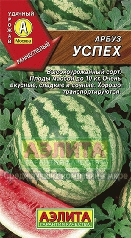 Арбуз Успех раннеспелый Аэлита