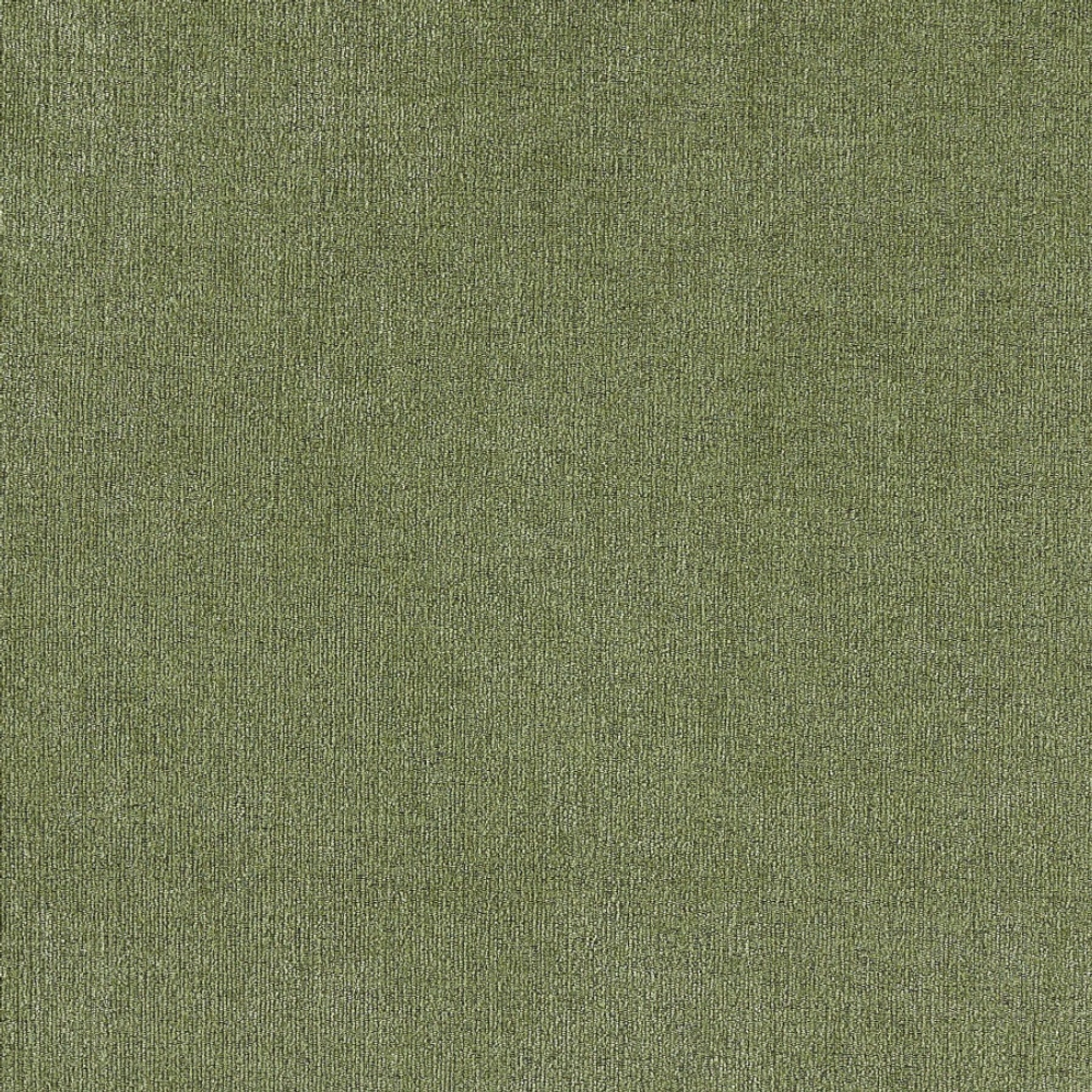 Велюр Daily / Дэйли