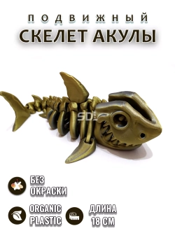 Скелет Акула