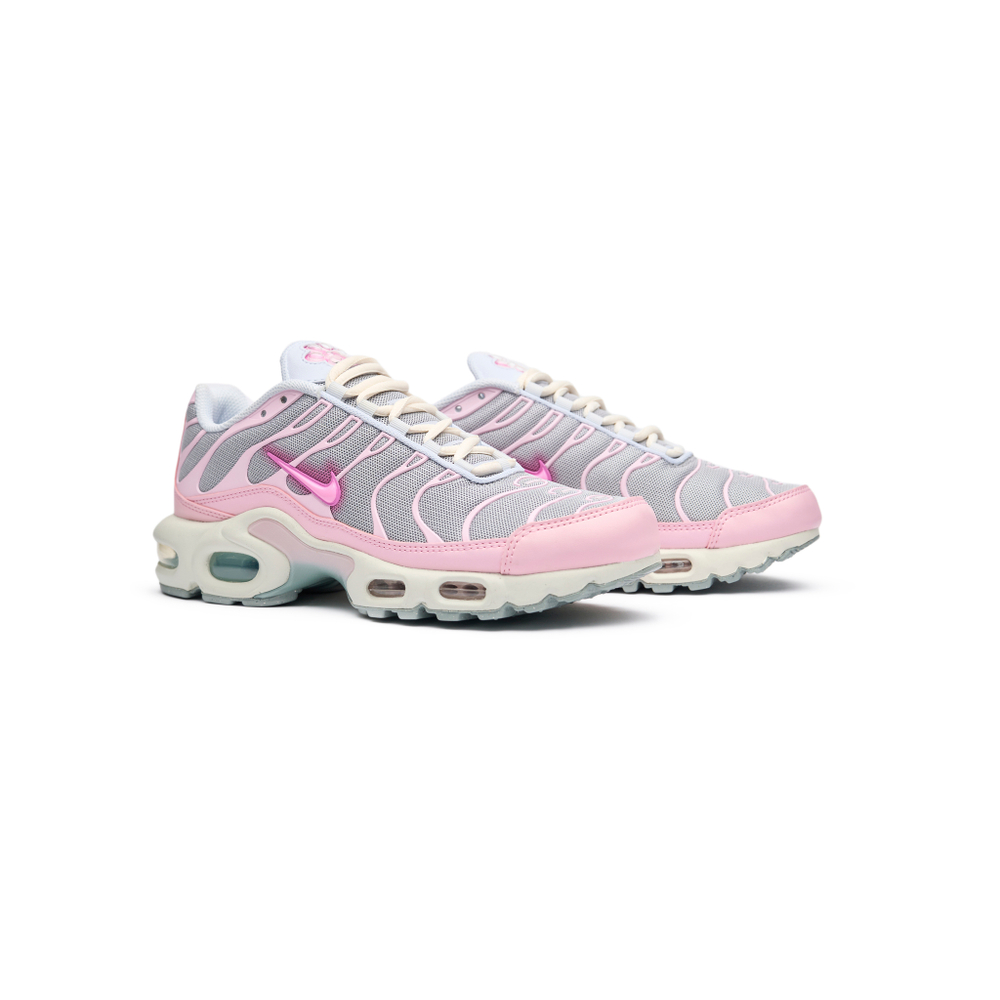 Кроссовки Nike Air Max Plus "Paw Print"