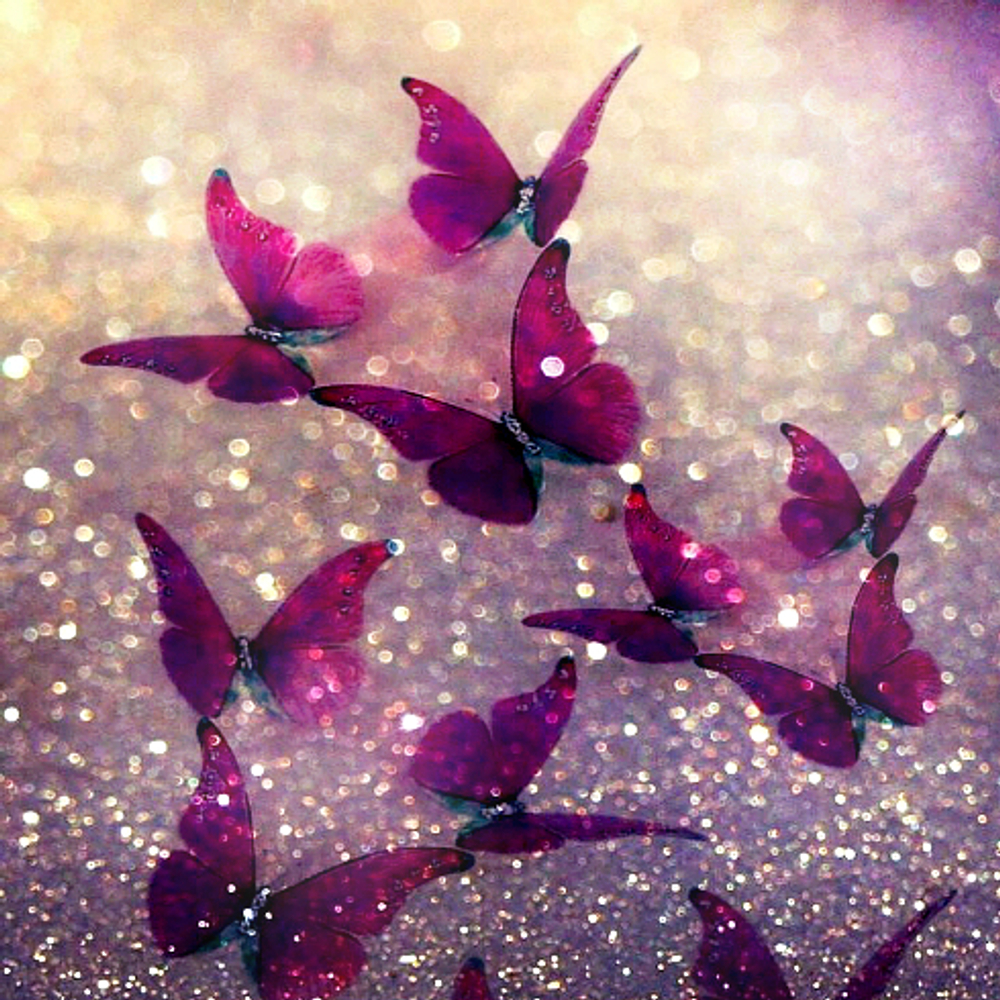 Вечно Новый