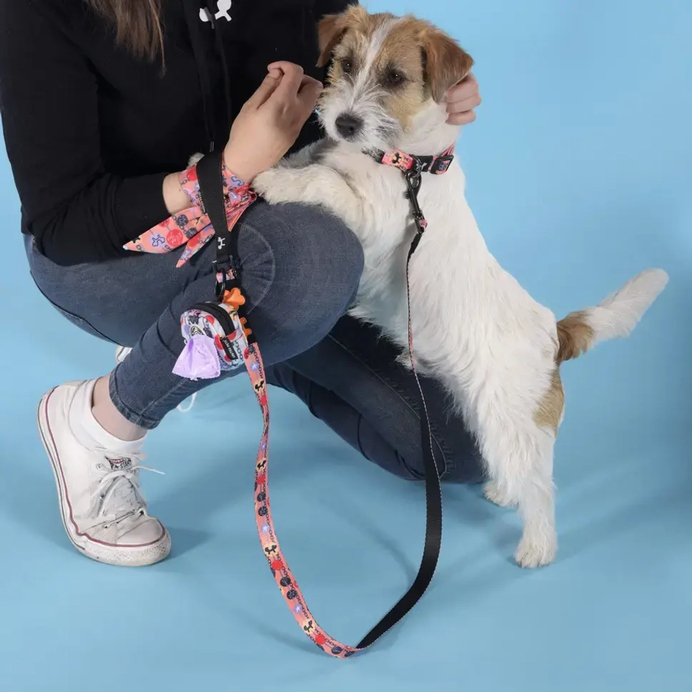 United pets complete me forever ошейник для собак, m 34-56/2 см, оранжевый с рисунком