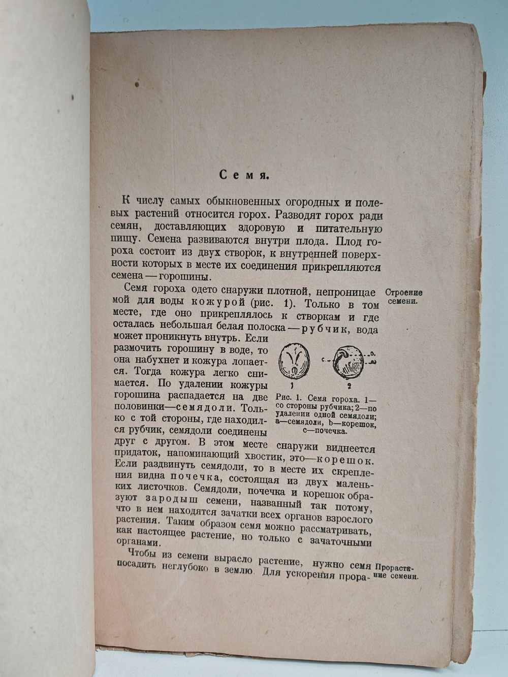 Природоведение. Учебник для школ I ступени. Ботаника