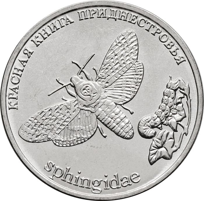 1 рубль 2018 Приднестровье «Бабочка Адамова голова»